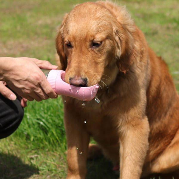 Kaasaskantav veepudel lemmikloomale PetLove™